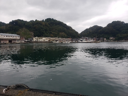 全然反応がない、。