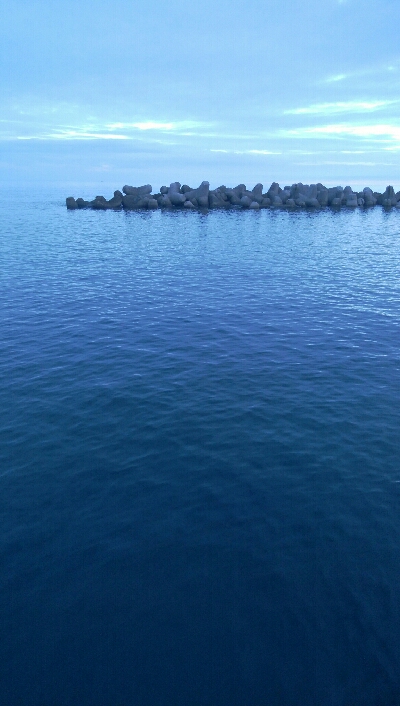 キジハタ4匹！障泥烏賊1杯！