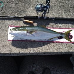 バースデーメジロ!