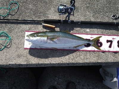 バースデーメジロ!