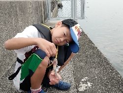 ハゼちょい投げ苦戦