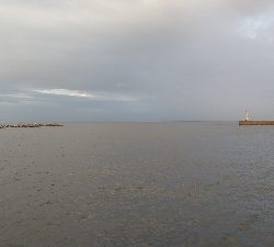 シーバスとシオ!