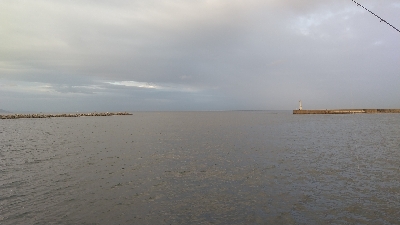 シーバスとシオ！