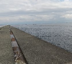 真っ昼間に高活性