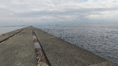 真っ昼間に高活性