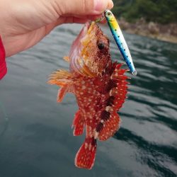 レンタル手漕ぎボート