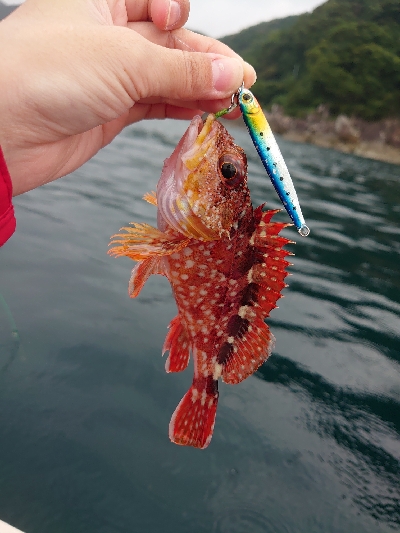 レンタル手漕ぎボート