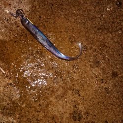 タイミング次第かな