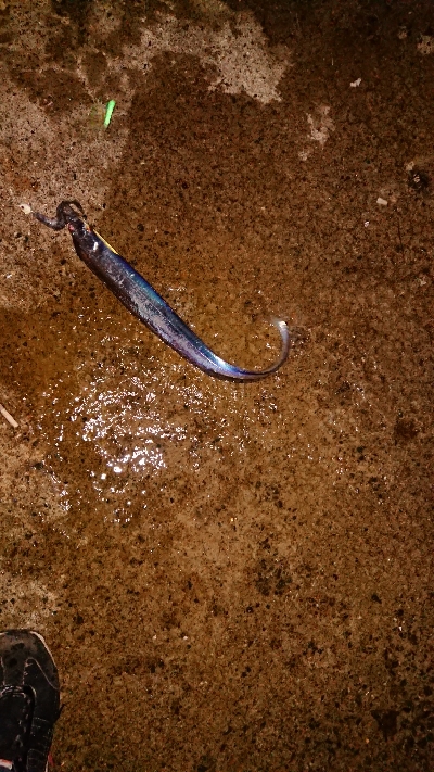 タイミング次第かな