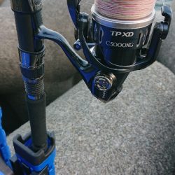 青物は釣れる時に釣らんとね