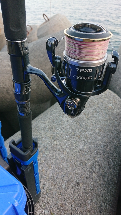 青物は釣れる時に釣らんとね