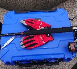 ゼブラグロー大好き