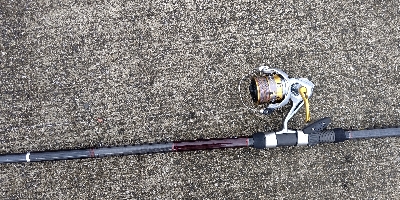 ネイゴが出た！