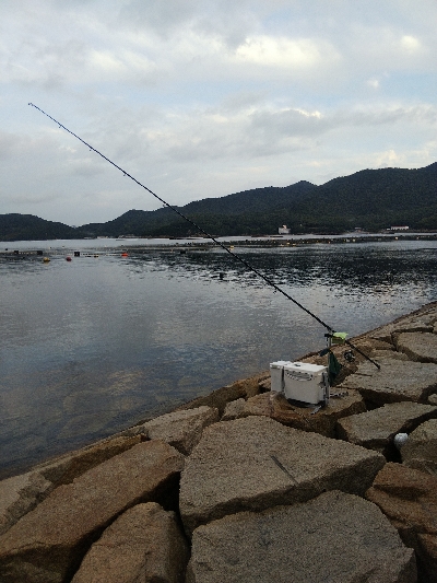 室津のキス釣り