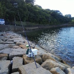 室津のキス釣り