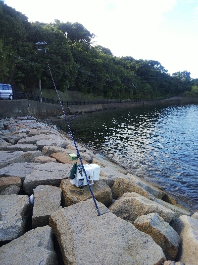 室津のキス釣り