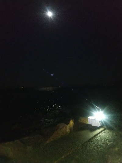 苅屋海岸のキス釣り