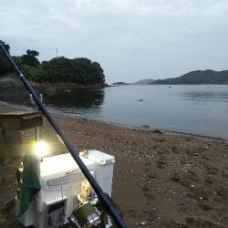 室津のキス釣り