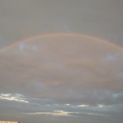 癒やしの虹&サバゲー