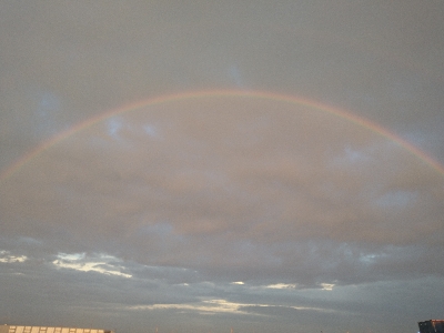 癒やしの虹＆サバゲー
