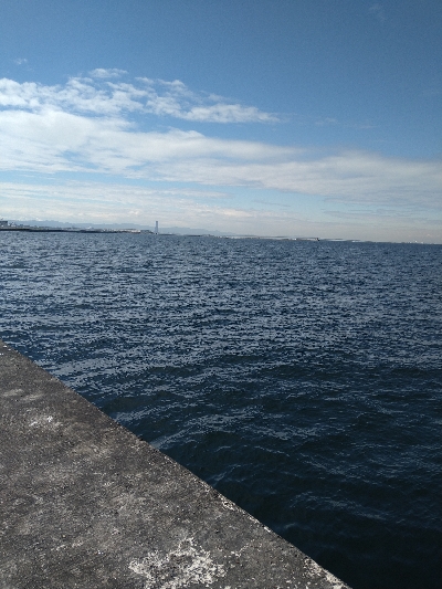 ツバス1匹1バラし