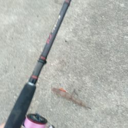 タチウオ釣りのはずが