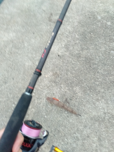 タチウオ釣りのはずが