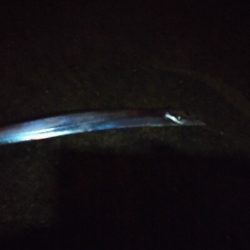 何とか大サバ、太刀魚