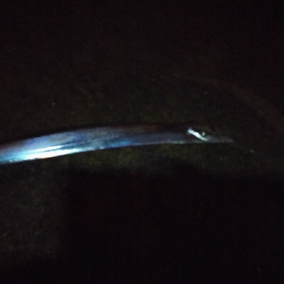 何とか大サバ、太刀魚