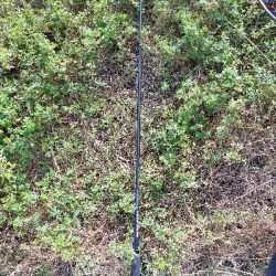 少しサイズアップ