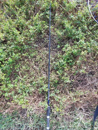 少しサイズアップ