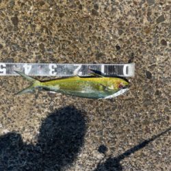 ショアジギング