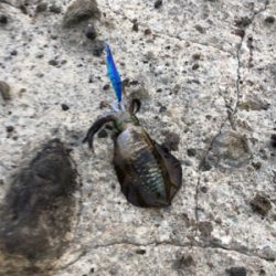 シーズン開幕!ロッド墨付け!