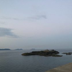 今年初太刀魚！！