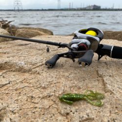 駐車場横でサクッと釣って帰る