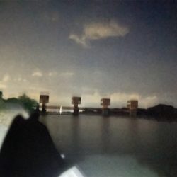 ワームでボーズのがれ！