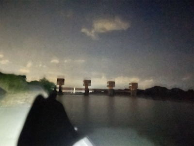 ワームでボーズのがれ！