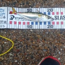 サバゲーでした