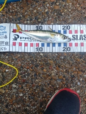 サバゲーでした