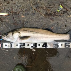 ランカー&つ抜け達成！！！