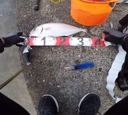 シオ!2021ライトゲーム第28戦