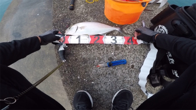 シオ!2021ライトゲーム第28戦