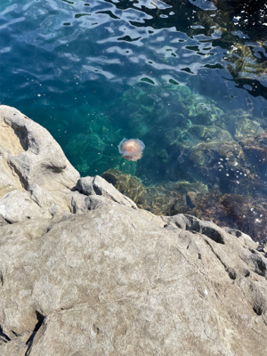 まだギリギリいるか