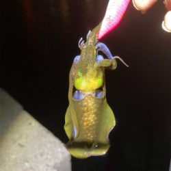 マナーを大切に!