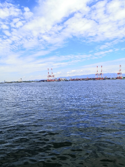 まだ居てたタコ