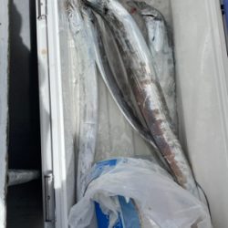 秋　太刀魚テンヤで