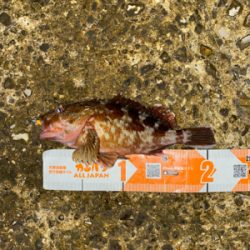 秋の気配がぼちぼち