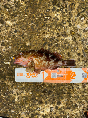 秋の気配がぼちぼち