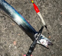 タチウオナイト