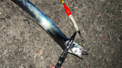 タチウオナイト